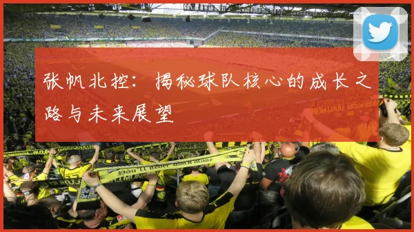 张帆北控：揭秘球队核心的成长之路与未来展望