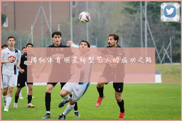揭秘体育明星转型艺人的成功之路